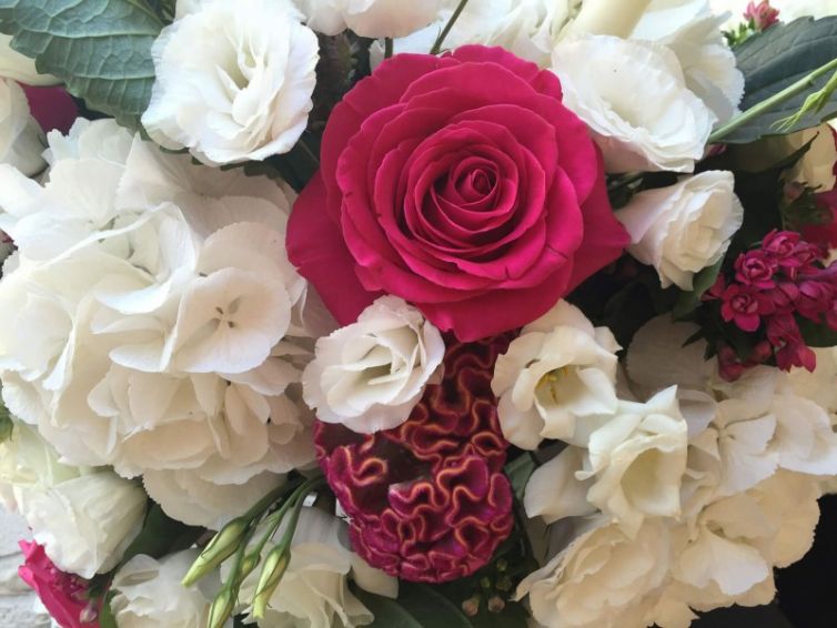 fuchsai-roses-2000x1500